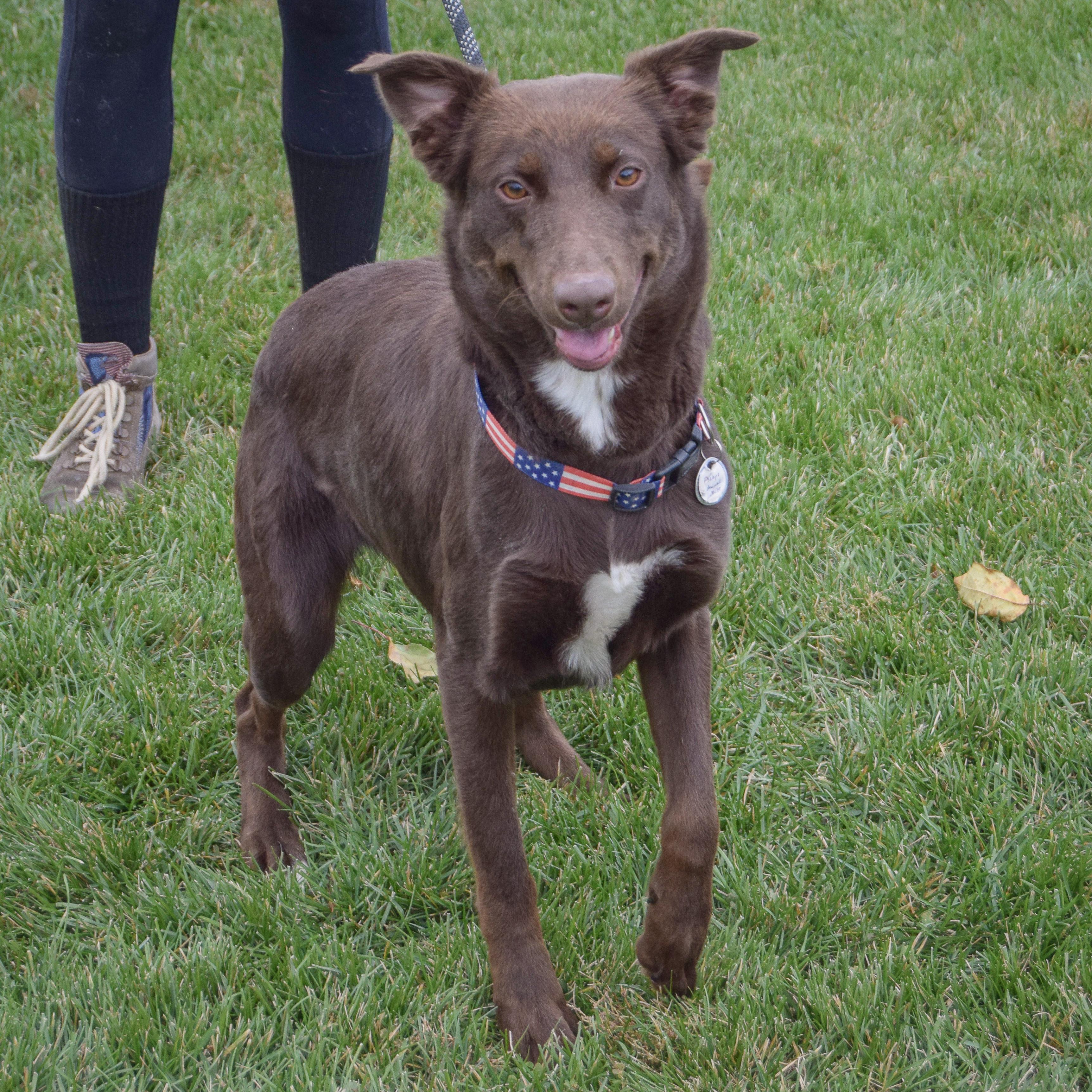 Penelope thumbnail 2