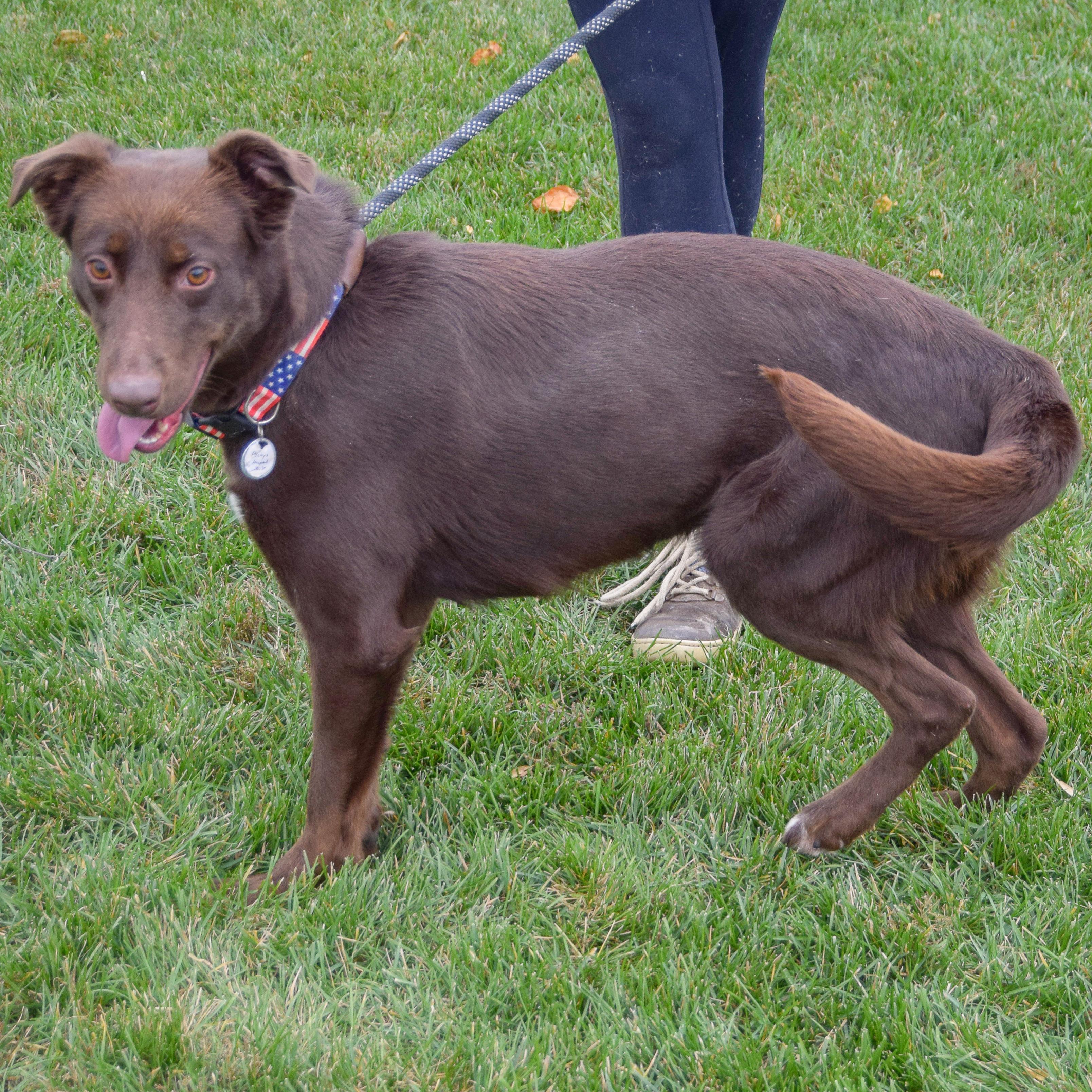 Penelope thumbnail 3