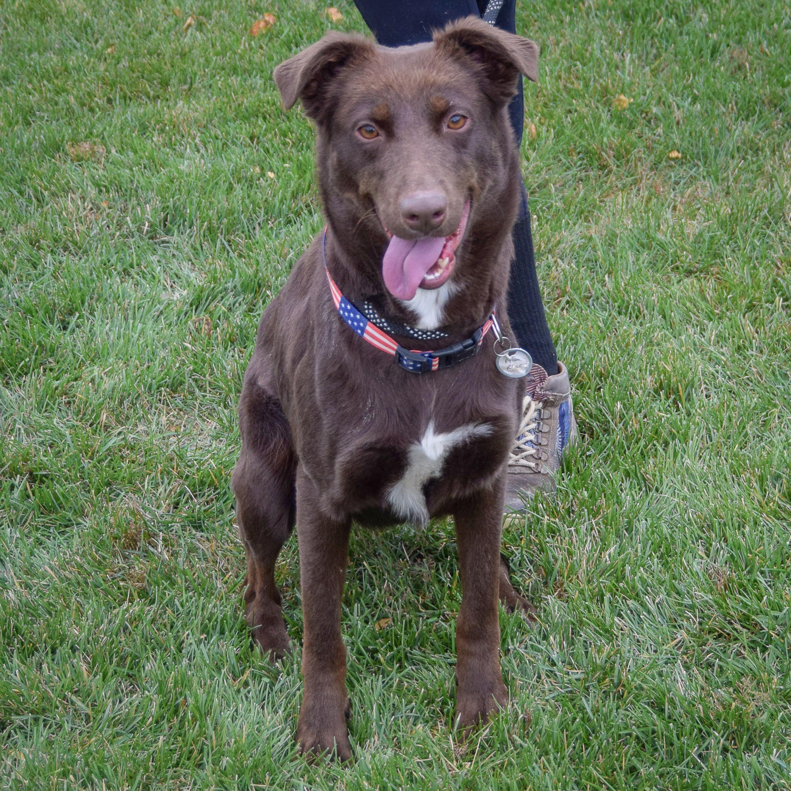 Penelope thumbnail 4