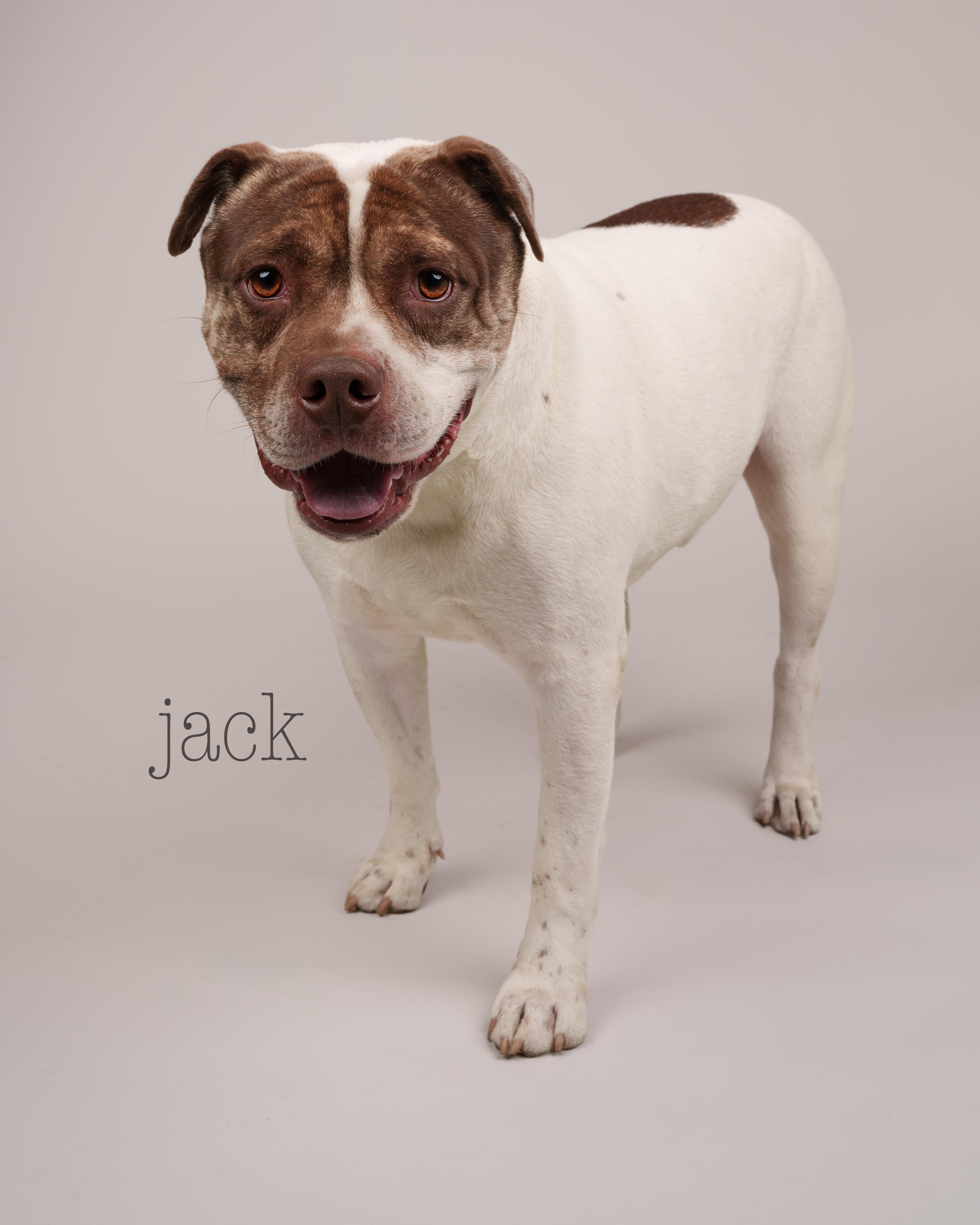 Jack