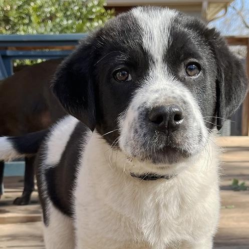Keiko