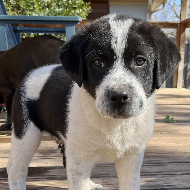 Keiko