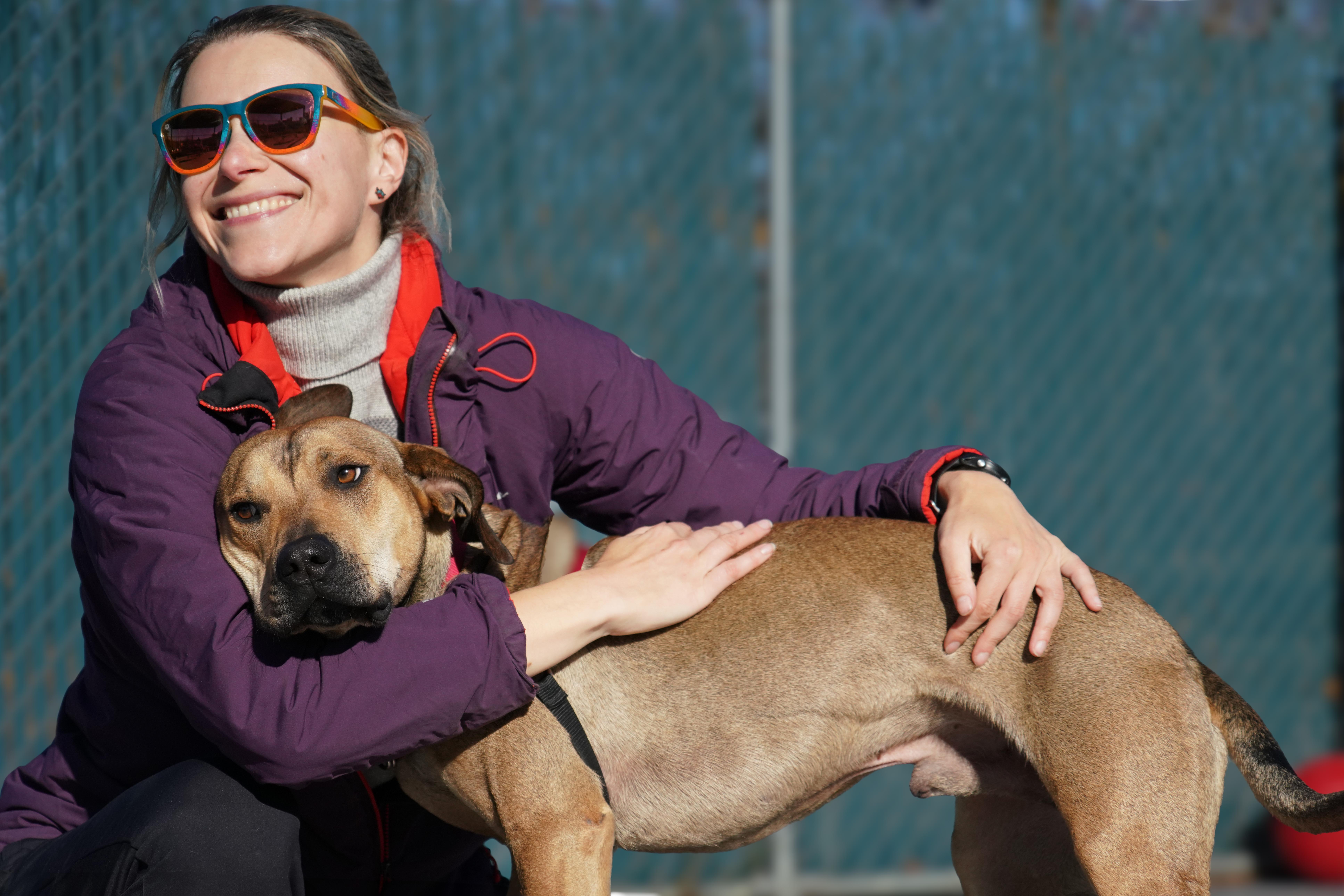 Rufus, a Adoptable mixed breed in New Rochelle, NY image 4/6