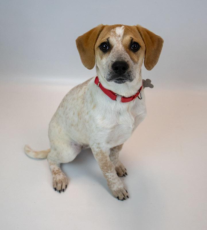 Helga — thumbnail 2