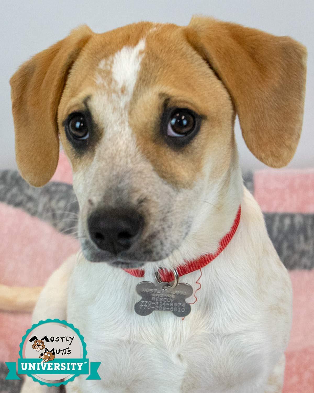 Helga — thumbnail 3