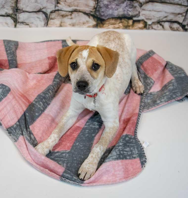 Helga — thumbnail 4