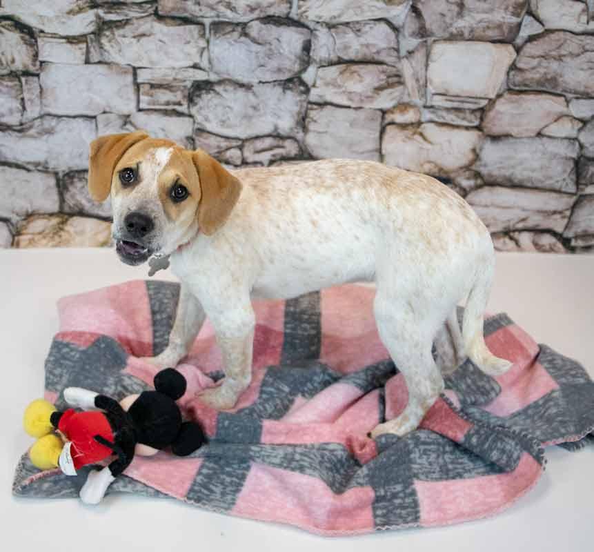 Helga — thumbnail 5