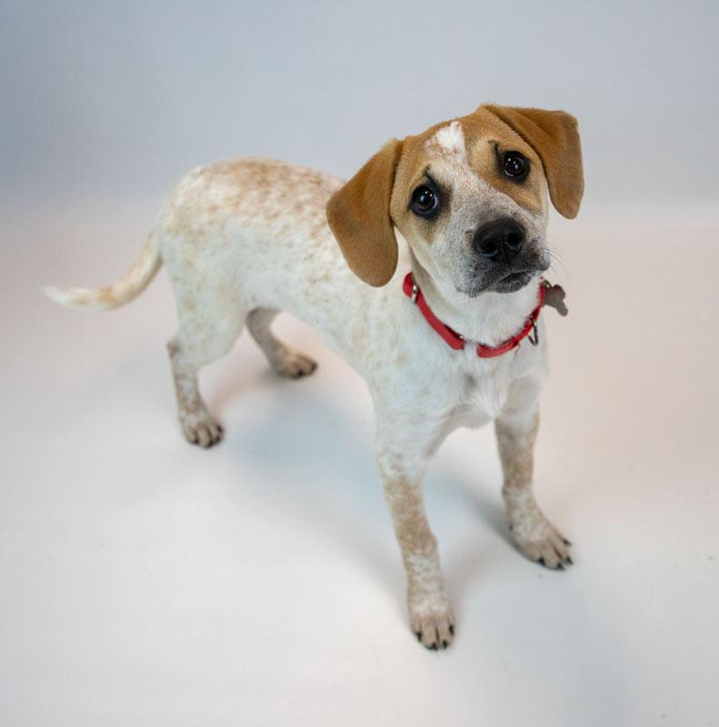 Helga — thumbnail 6