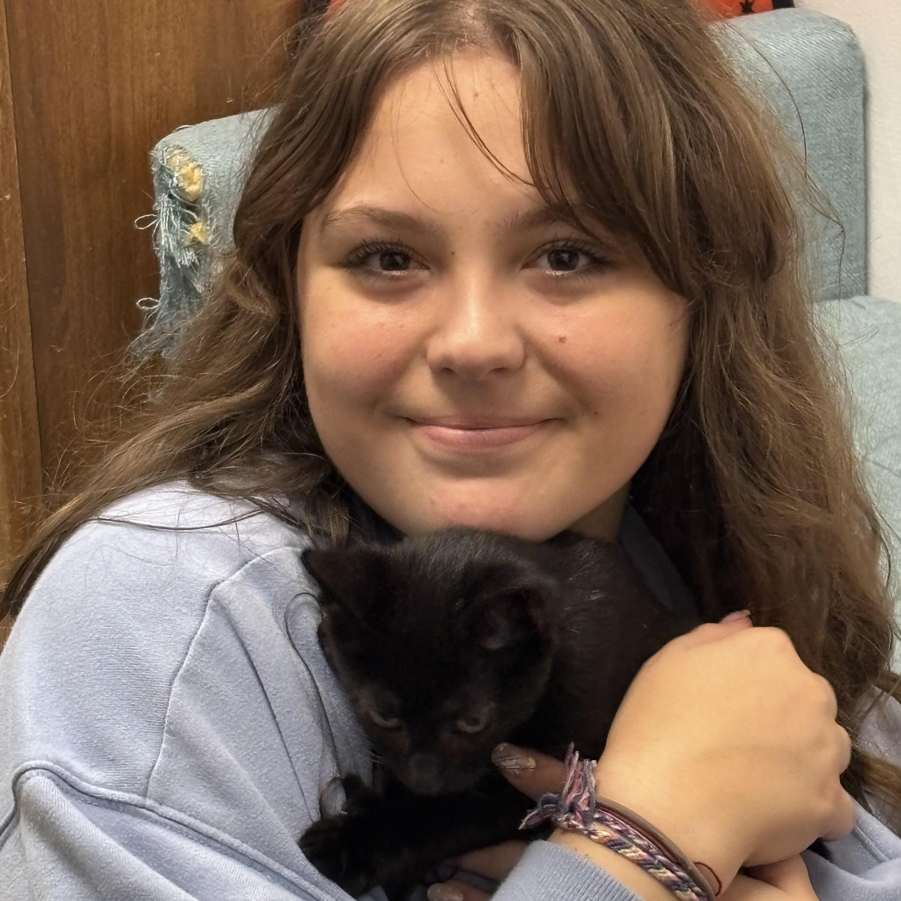 Halie, Adopted, Kitten Female Domestic Short Hair.