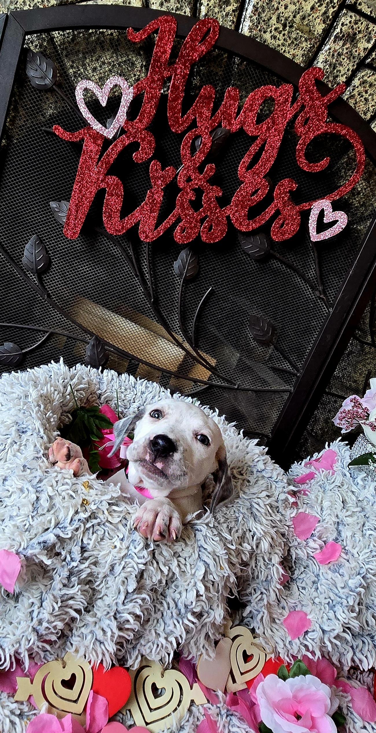 Isabella thumbnail 5