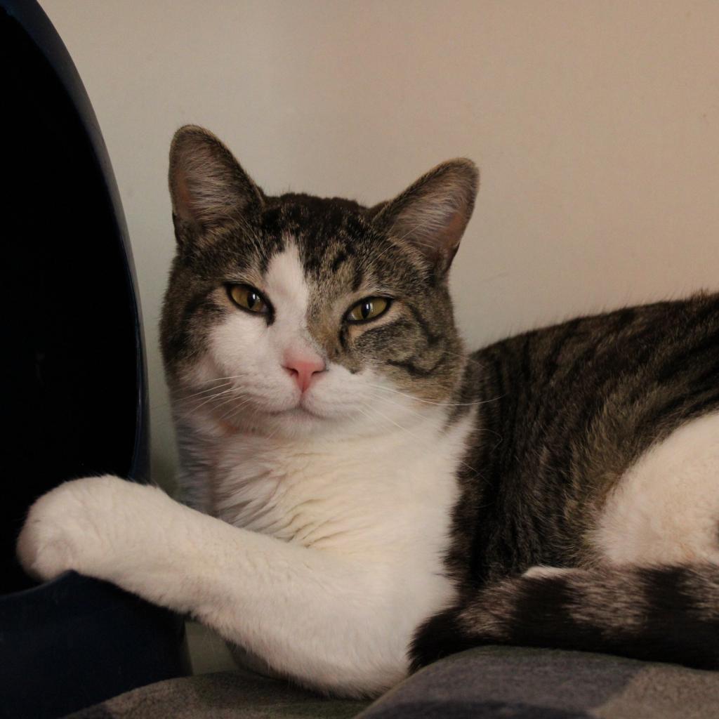 Ethan — thumbnail 2