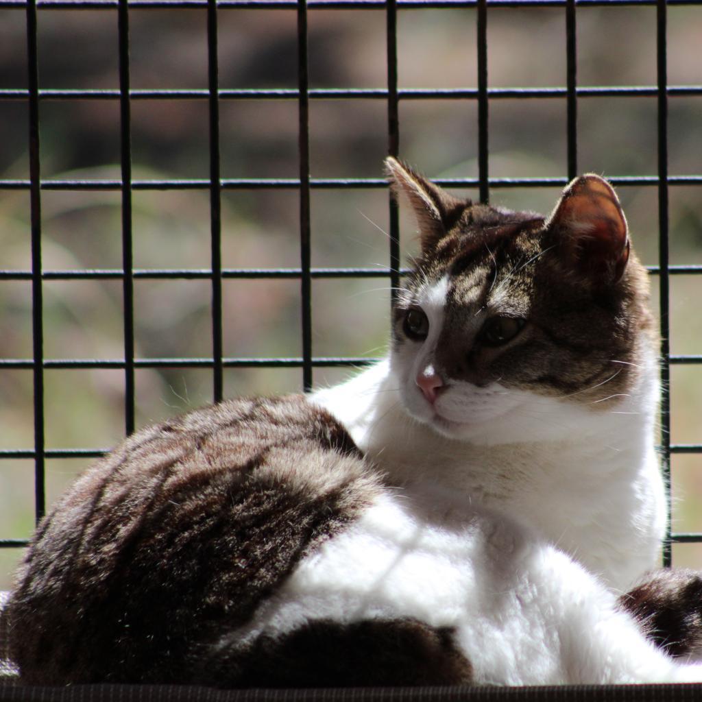 Ethan — thumbnail 3