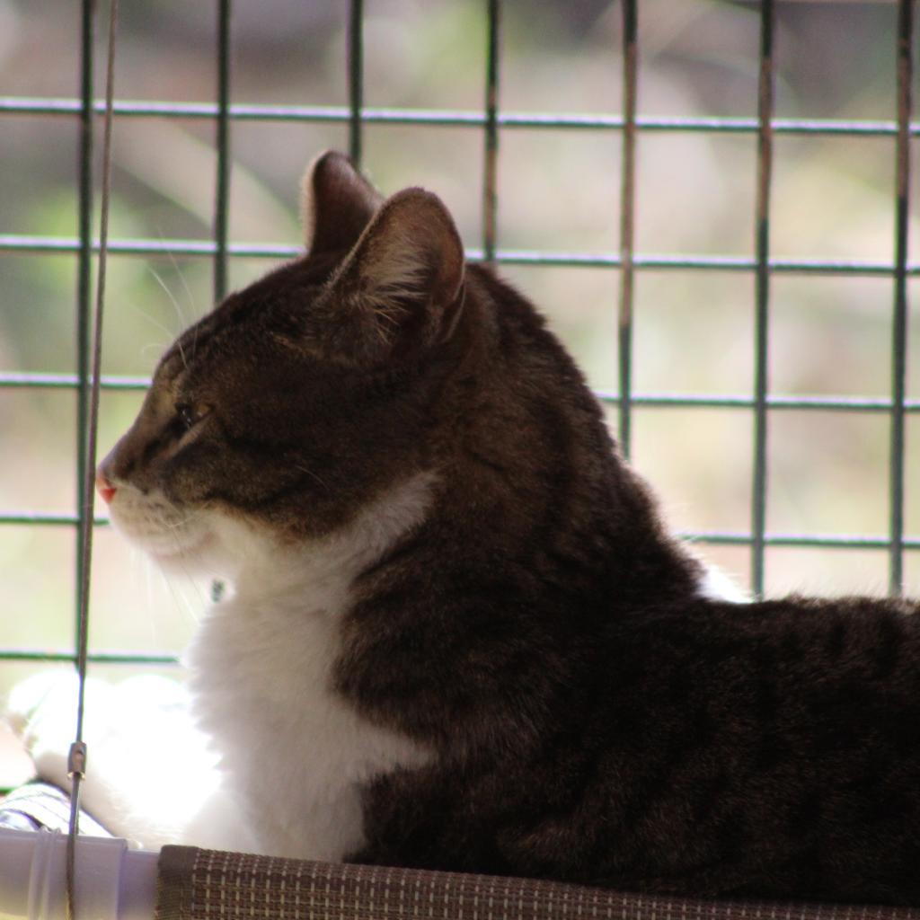 Ethan — thumbnail 4