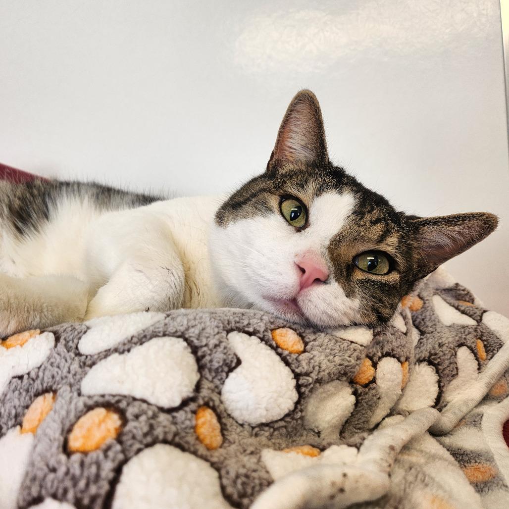 Ethan — thumbnail 5