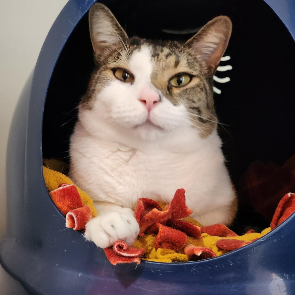 Ethan — thumbnail 6