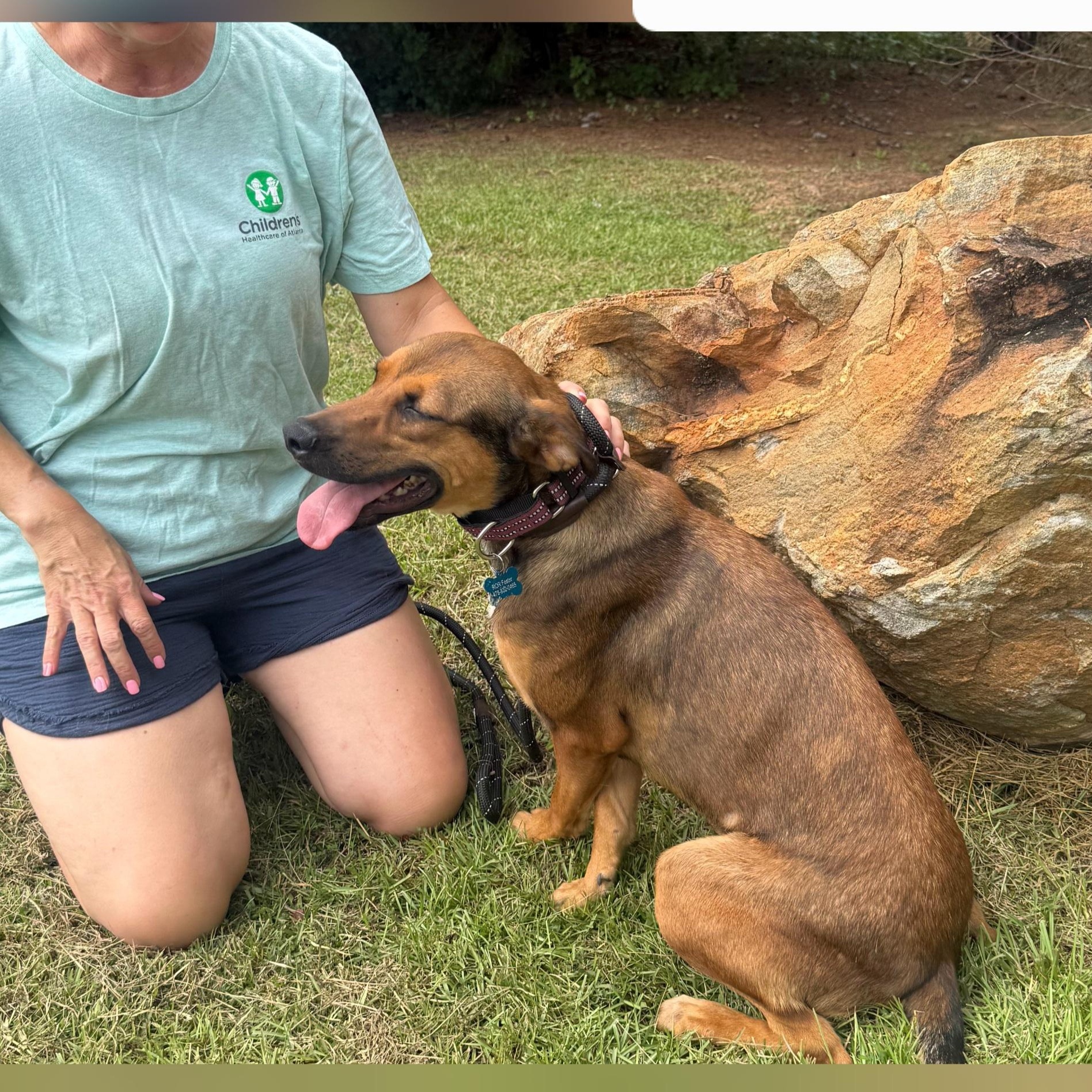 Enlarge Story, a Adoptable mixed breed in Parma, OH image 1/1