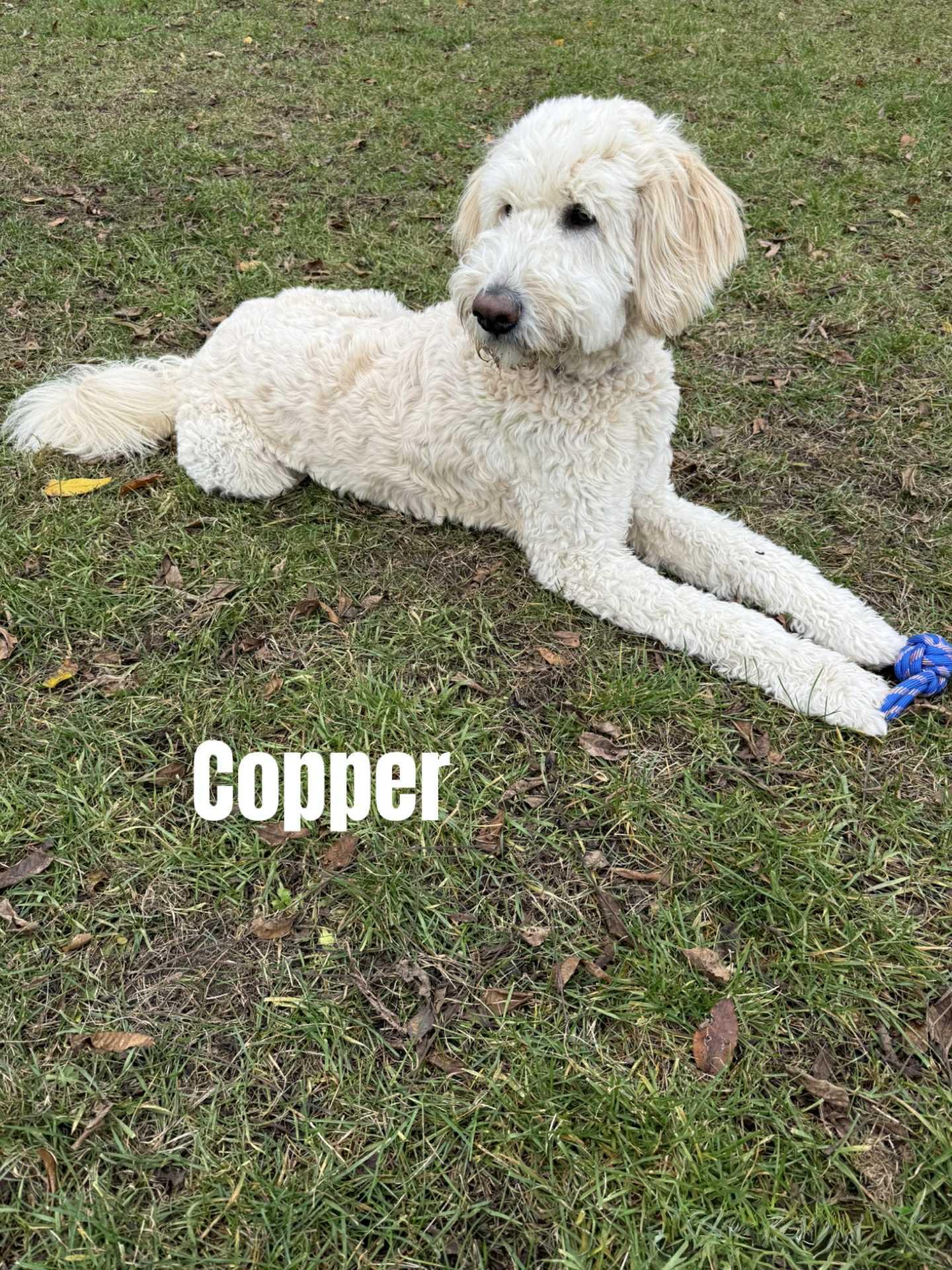 Copper