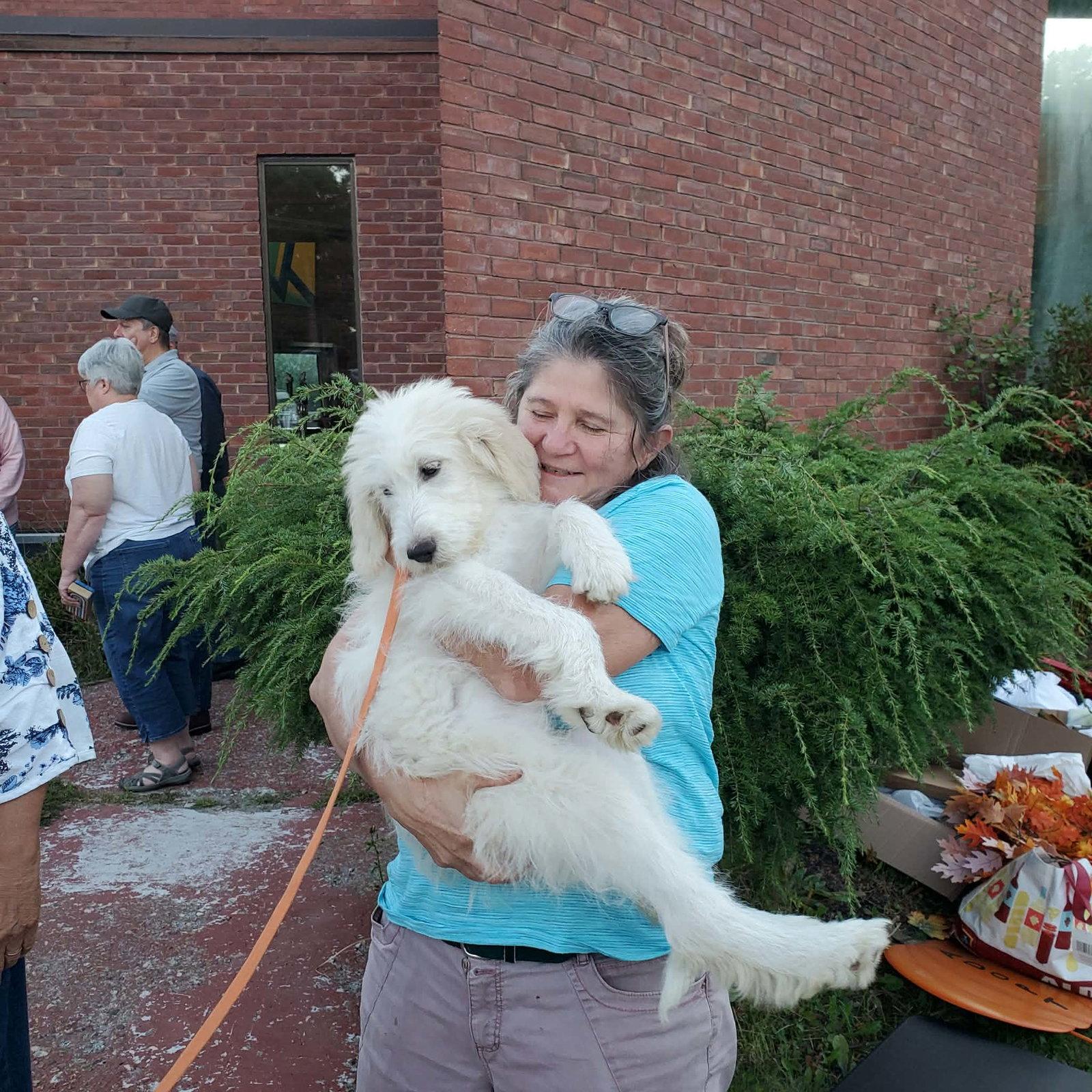 Enlarge Lily, a Adoptable mixed breed in Croydon, NH image 2/3