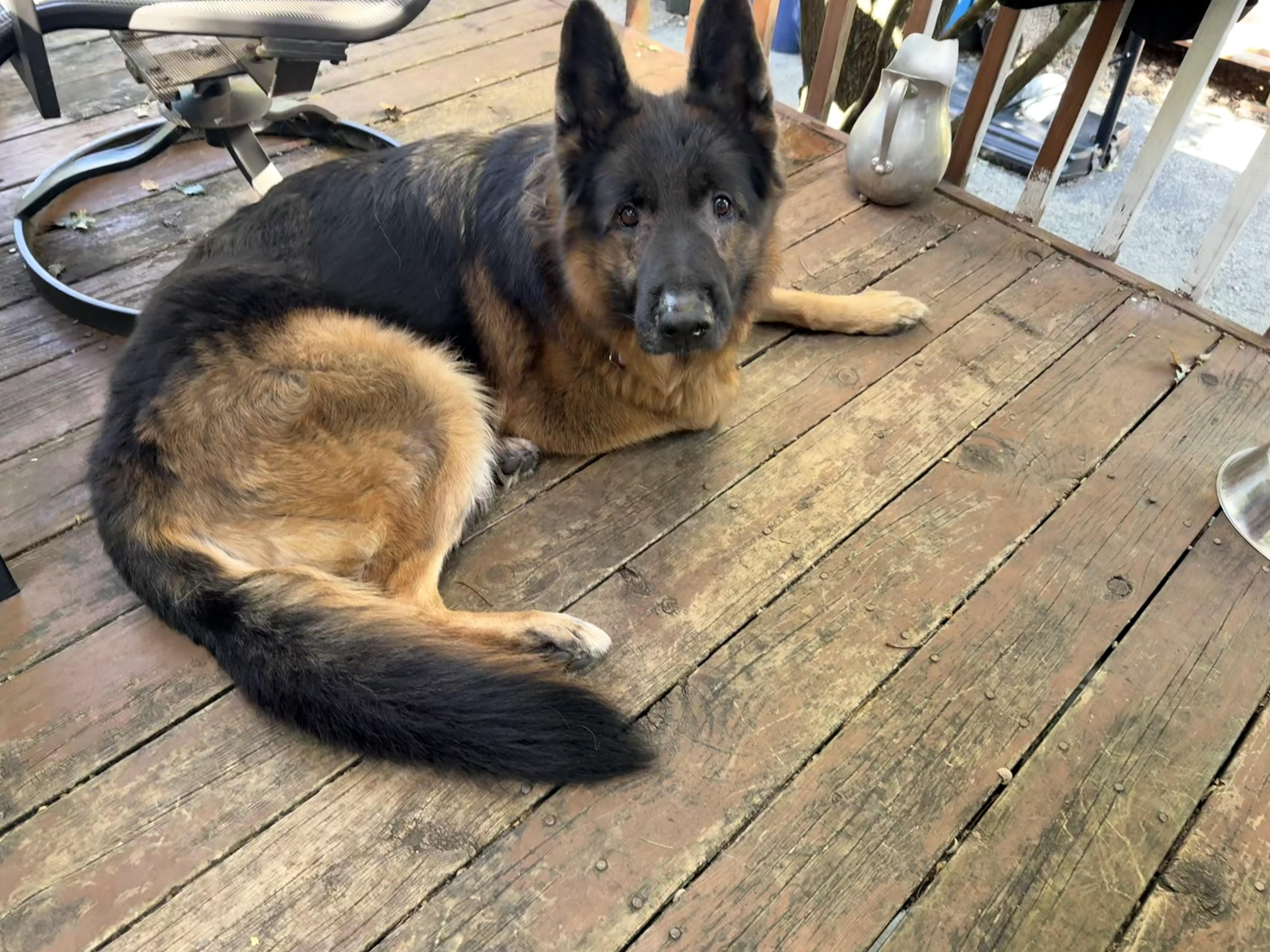 Zeus