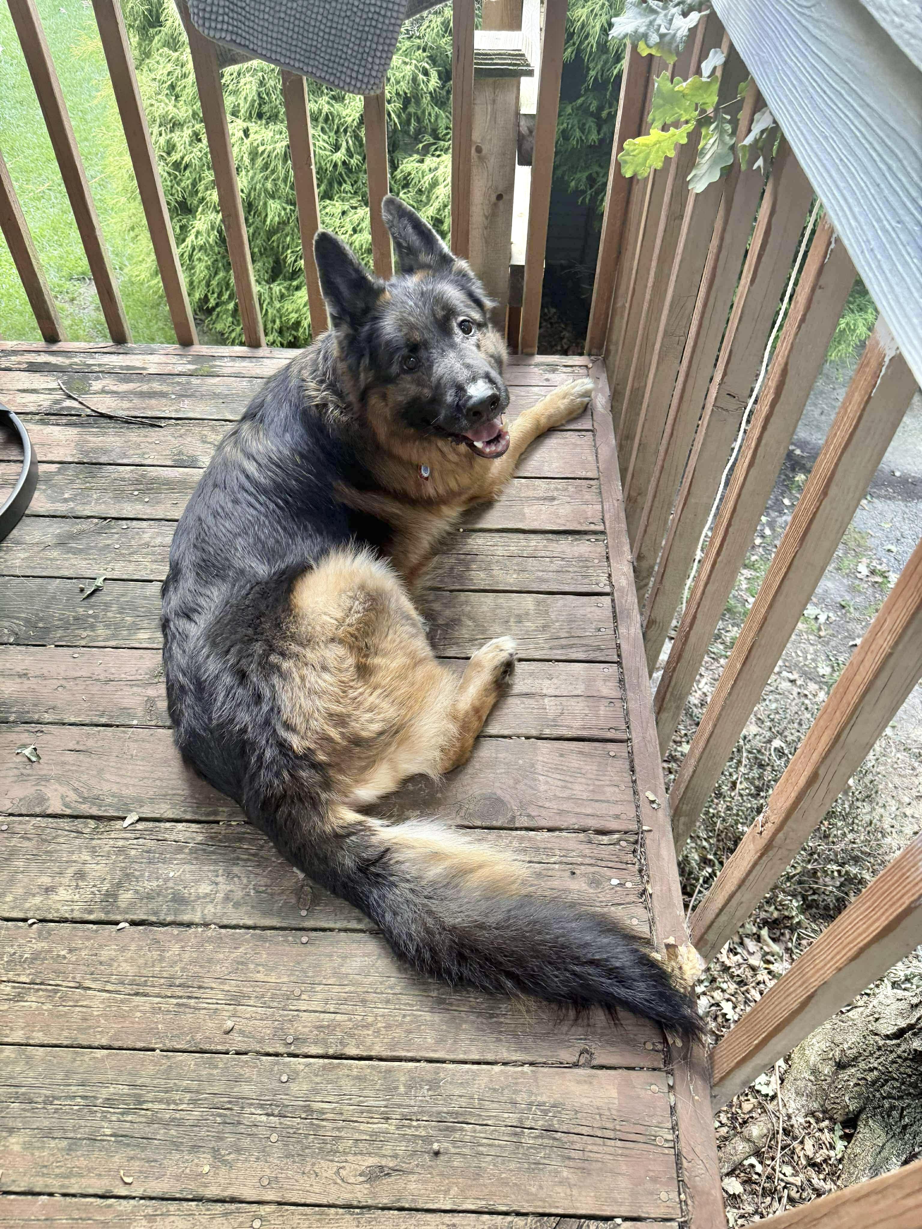 Zeus
