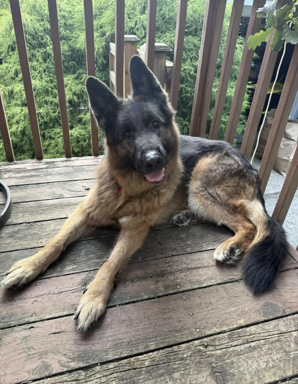 Zeus