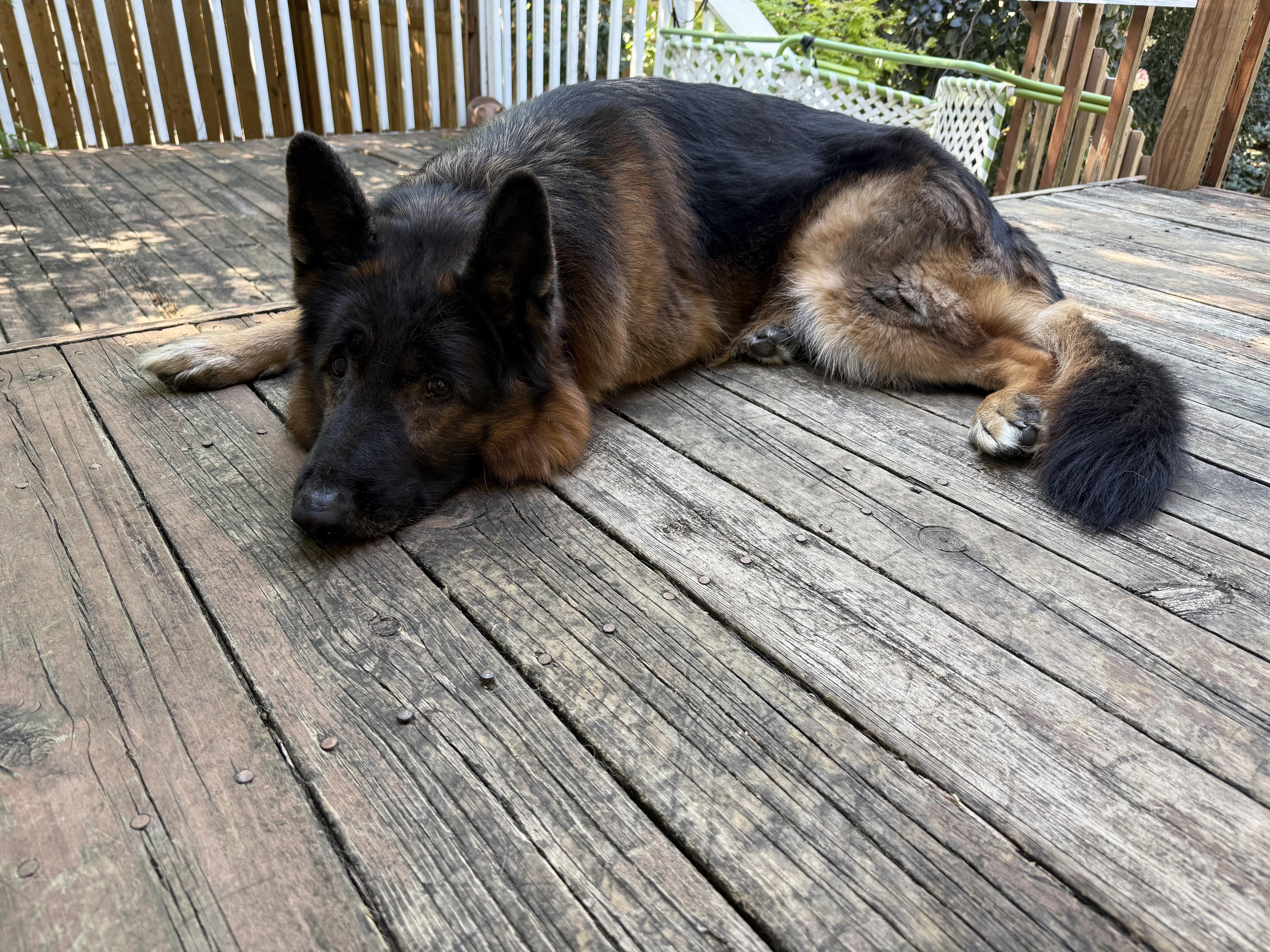 Zeus