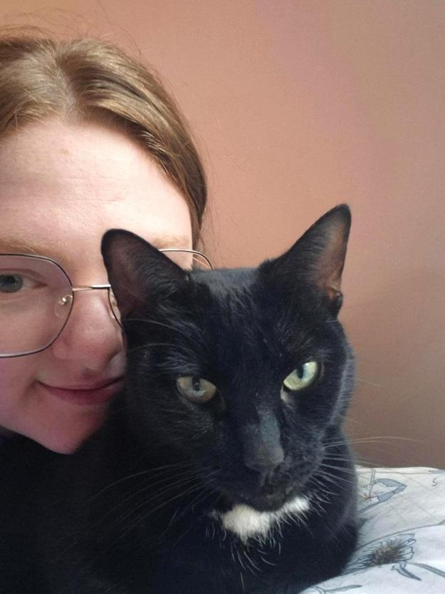 LUNA, a ADOPTABLE Domestic Short Hair in Pegram, TN image 3/4