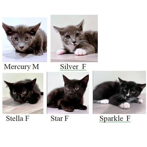 Mercury thumbnail 2