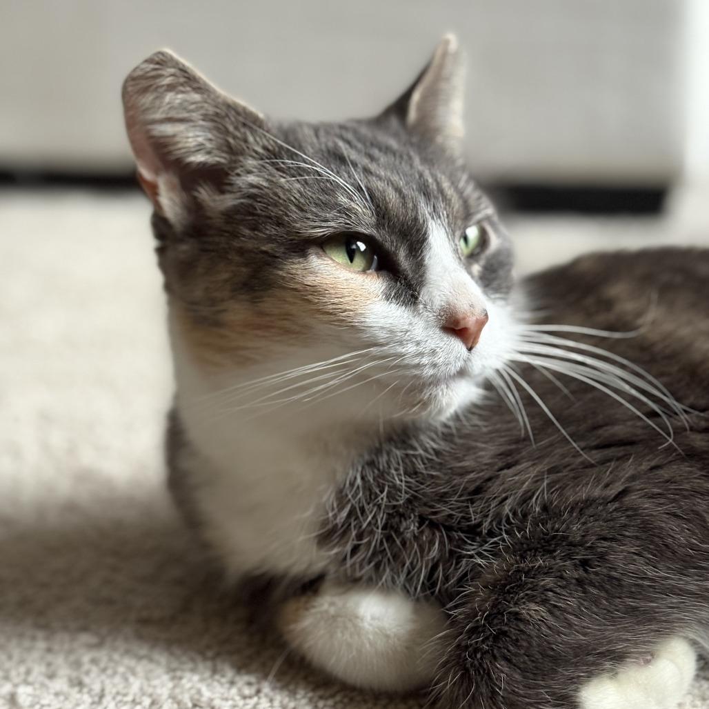 Margaret — thumbnail 2