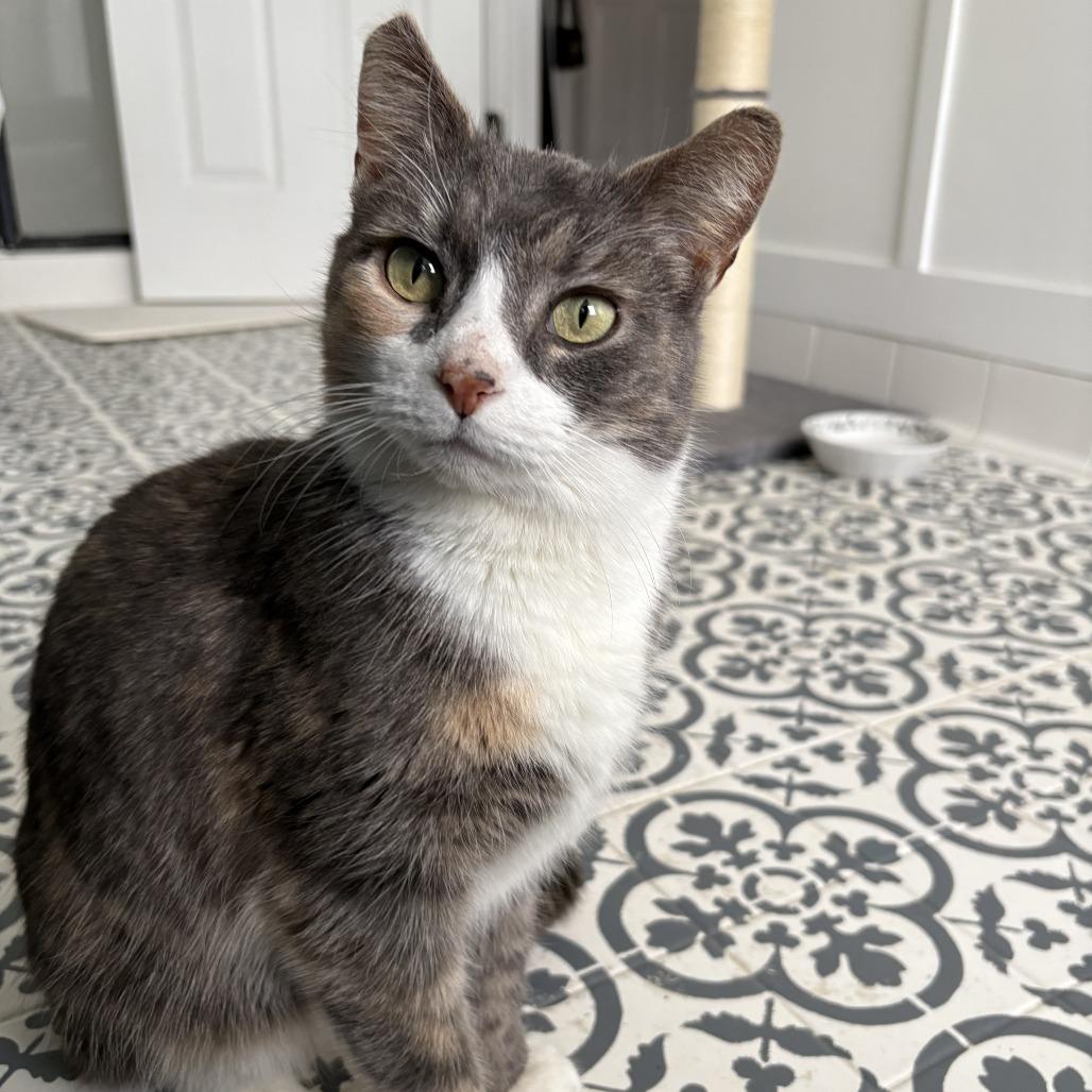 Margaret — thumbnail 3