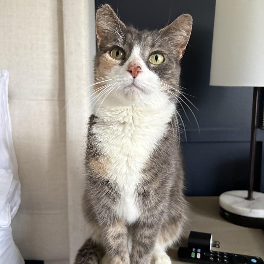 Margaret — thumbnail 4