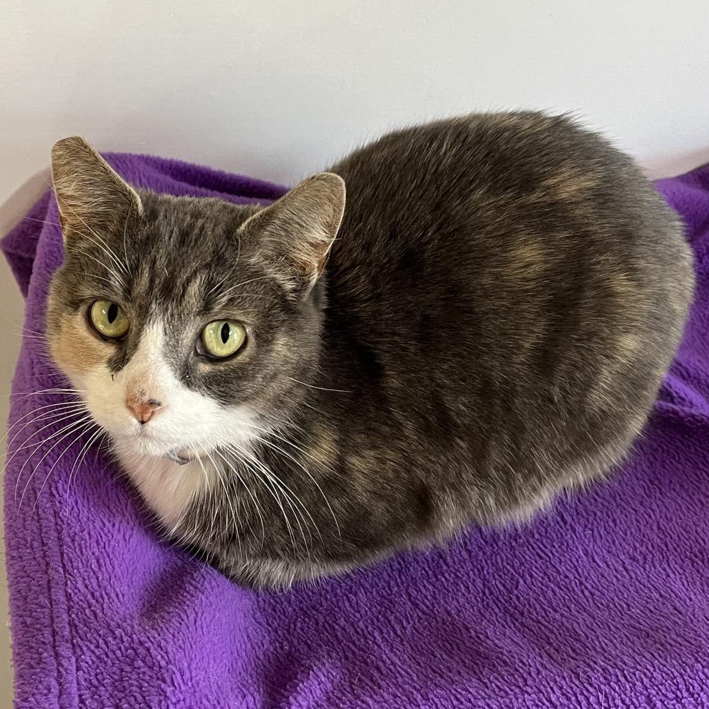 Margaret — thumbnail 6