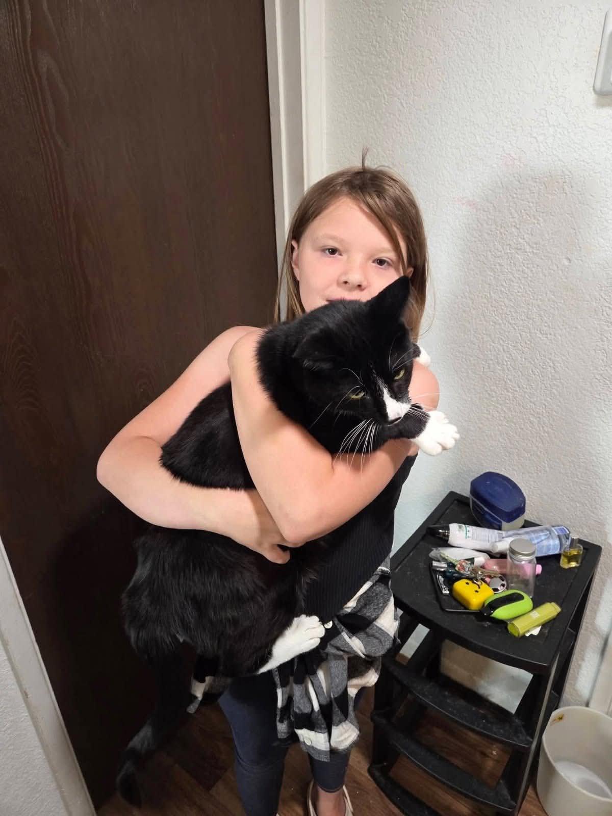 Enlarge BOOTS (Courtesy post), a ADOPTABLE Domestic Short Hair in Sierra Vista, AZ image 2/3