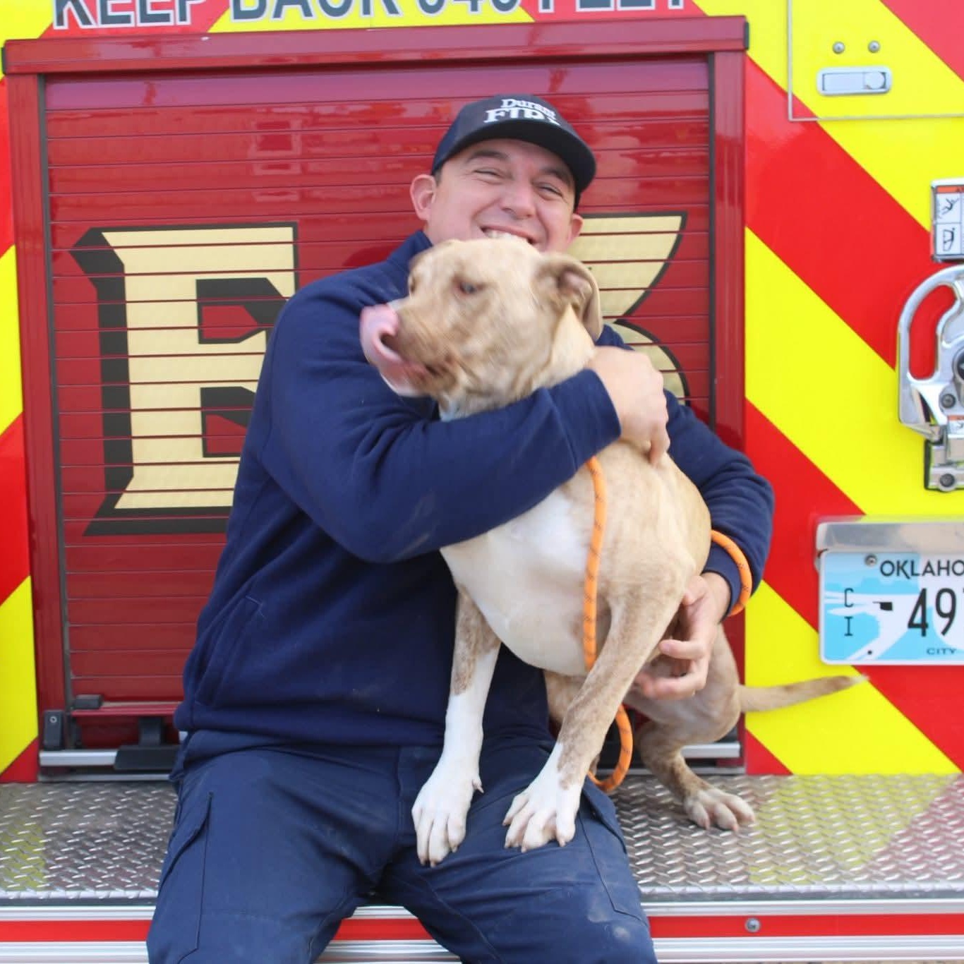 Enlarge November, an adopted mixed breed in Durant, OK image 3/4