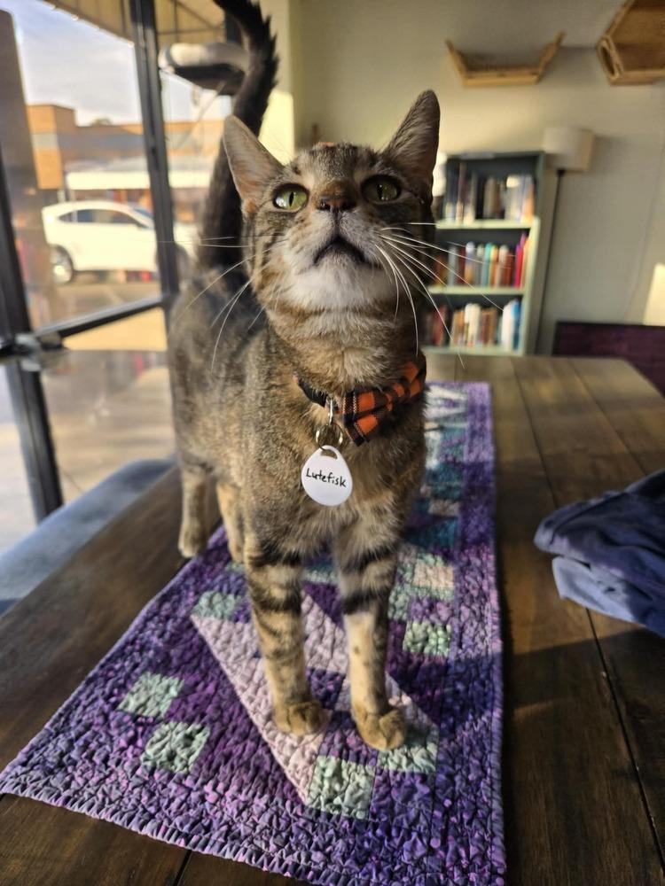 Lutefisk — thumbnail 2