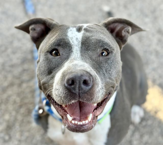 MELODY* — thumbnail 3