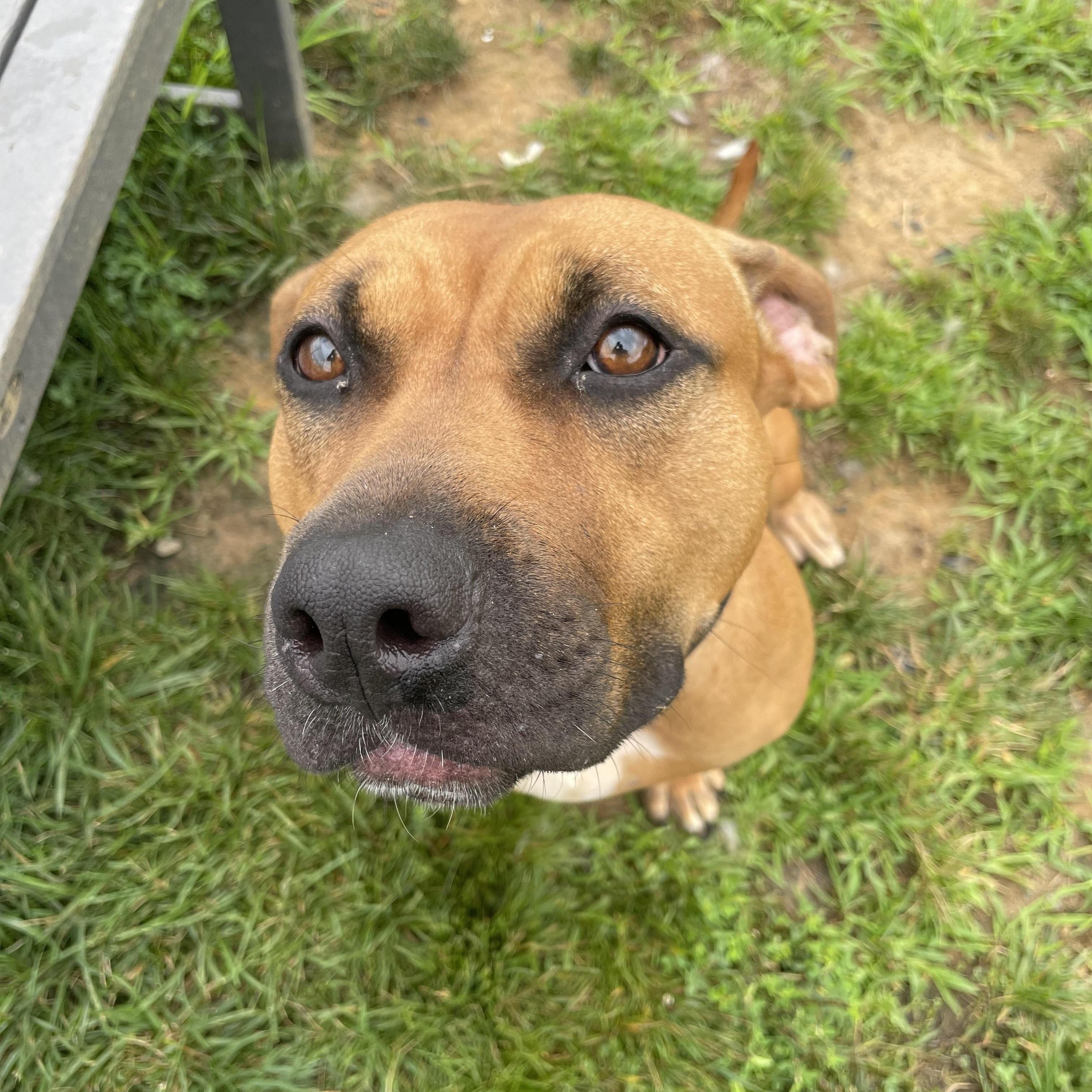 Athena (ID 46799/3553) 3