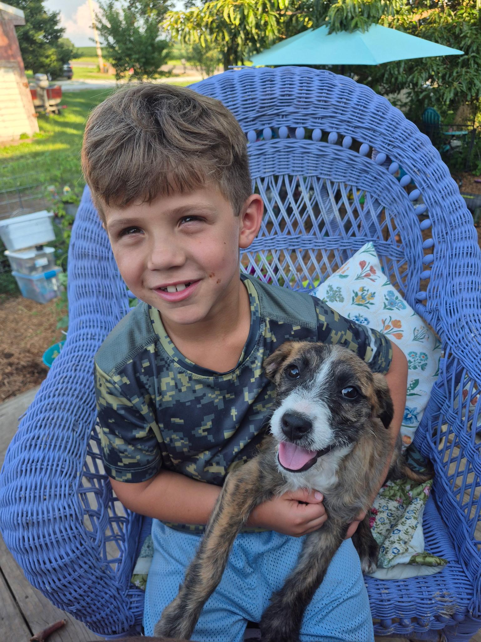 Piper, a ADOPTABLE mixed breed in Byron, IL image 2/5