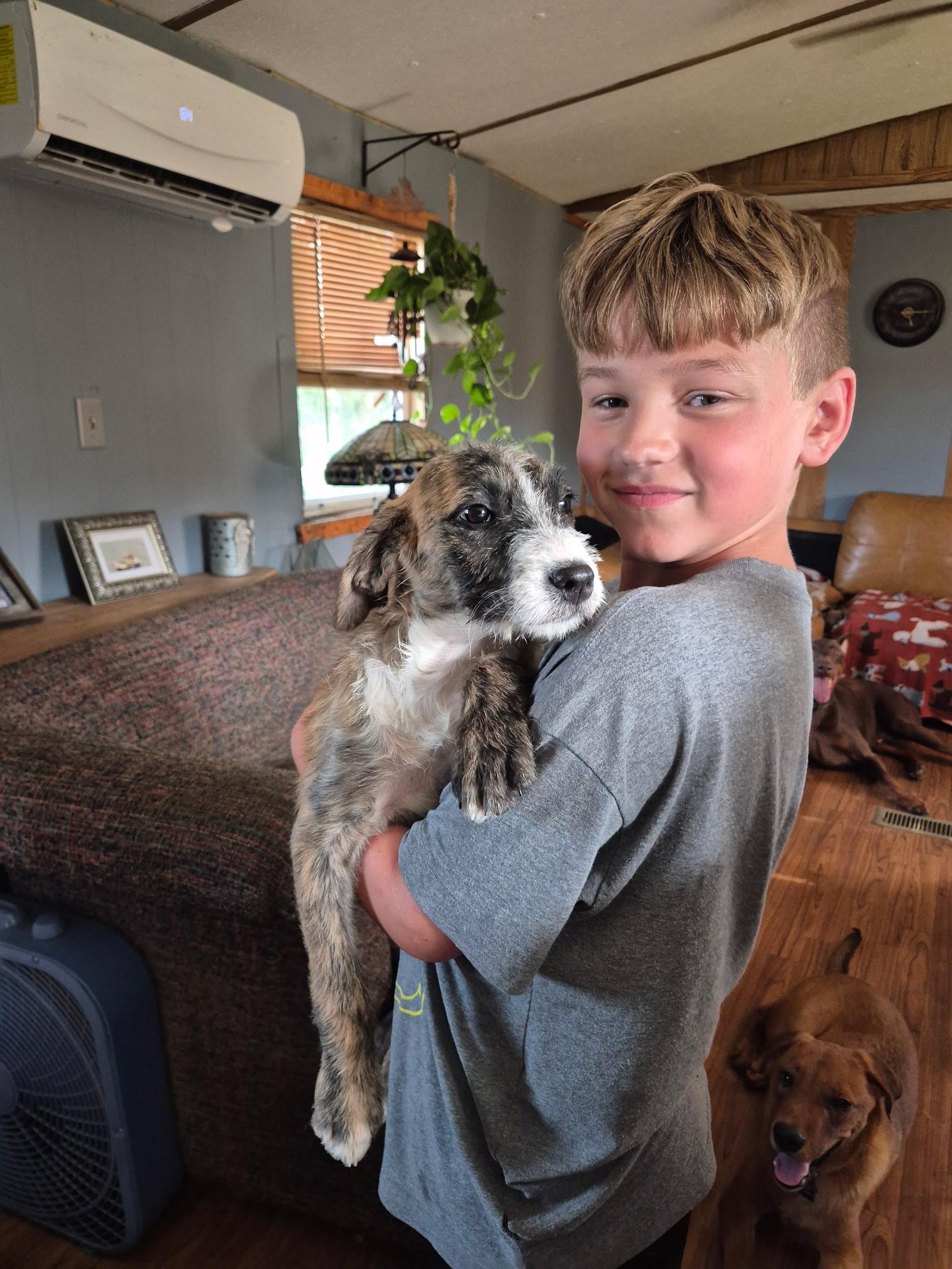 Piper, a ADOPTABLE mixed breed in Byron, IL image 3/5
