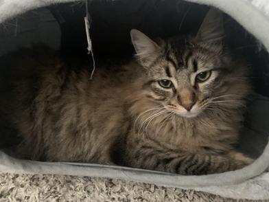 Stucco & Cellar — thumbnail 4