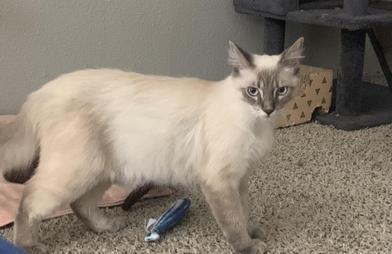 Stucco & Cellar — thumbnail 5