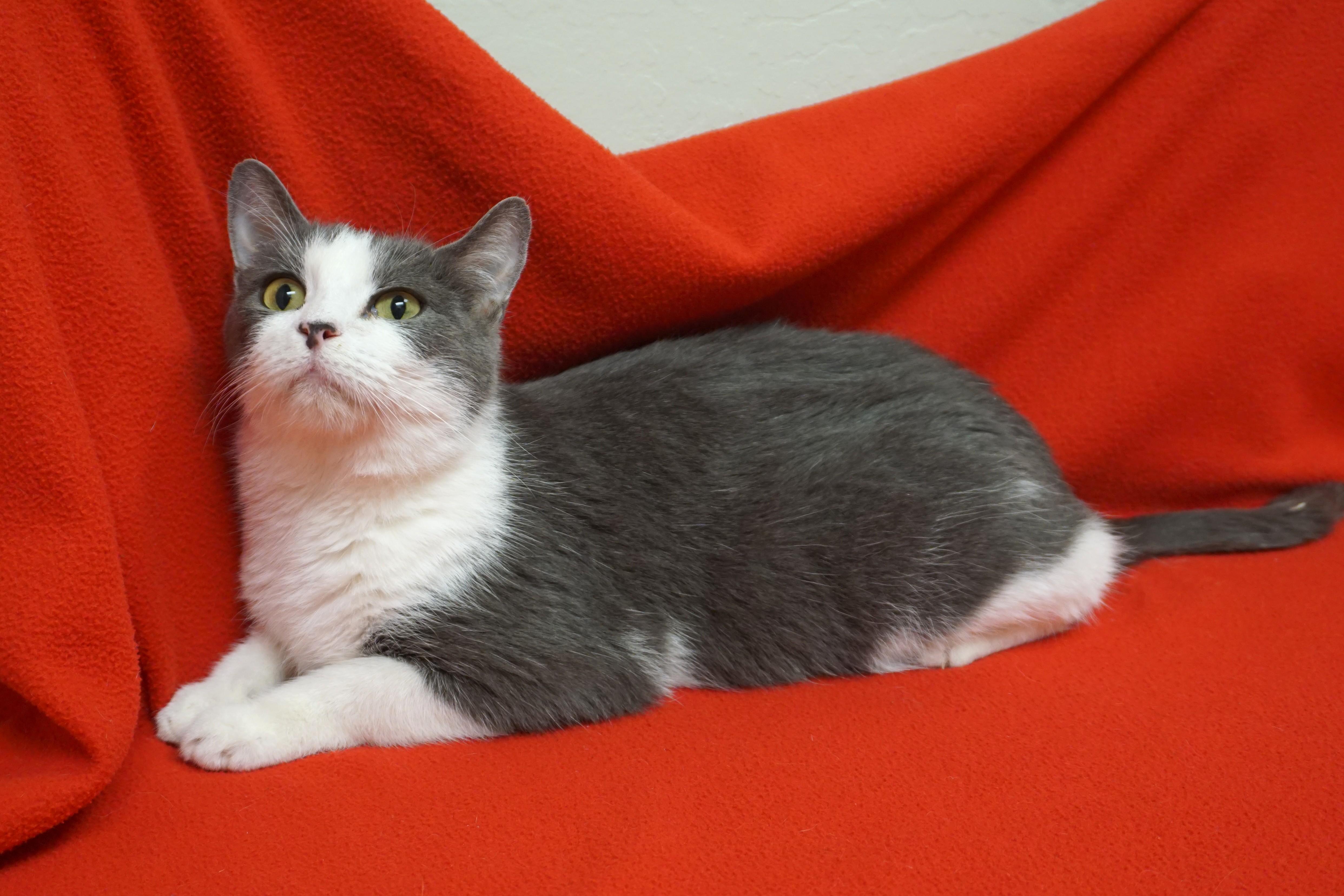 Nadine — thumbnail 4