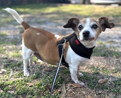 Rusty — thumbnail 3