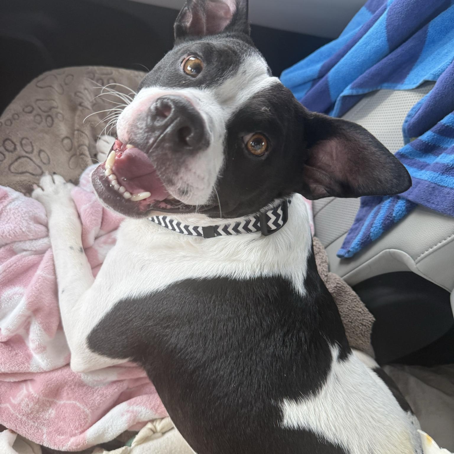 Sully — thumbnail 2