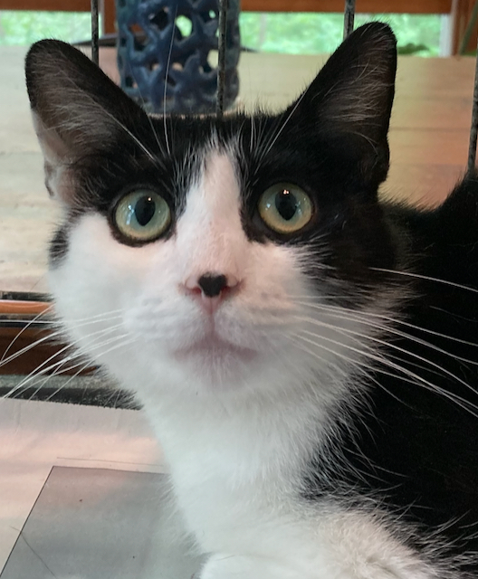 Carmella - super sweet!