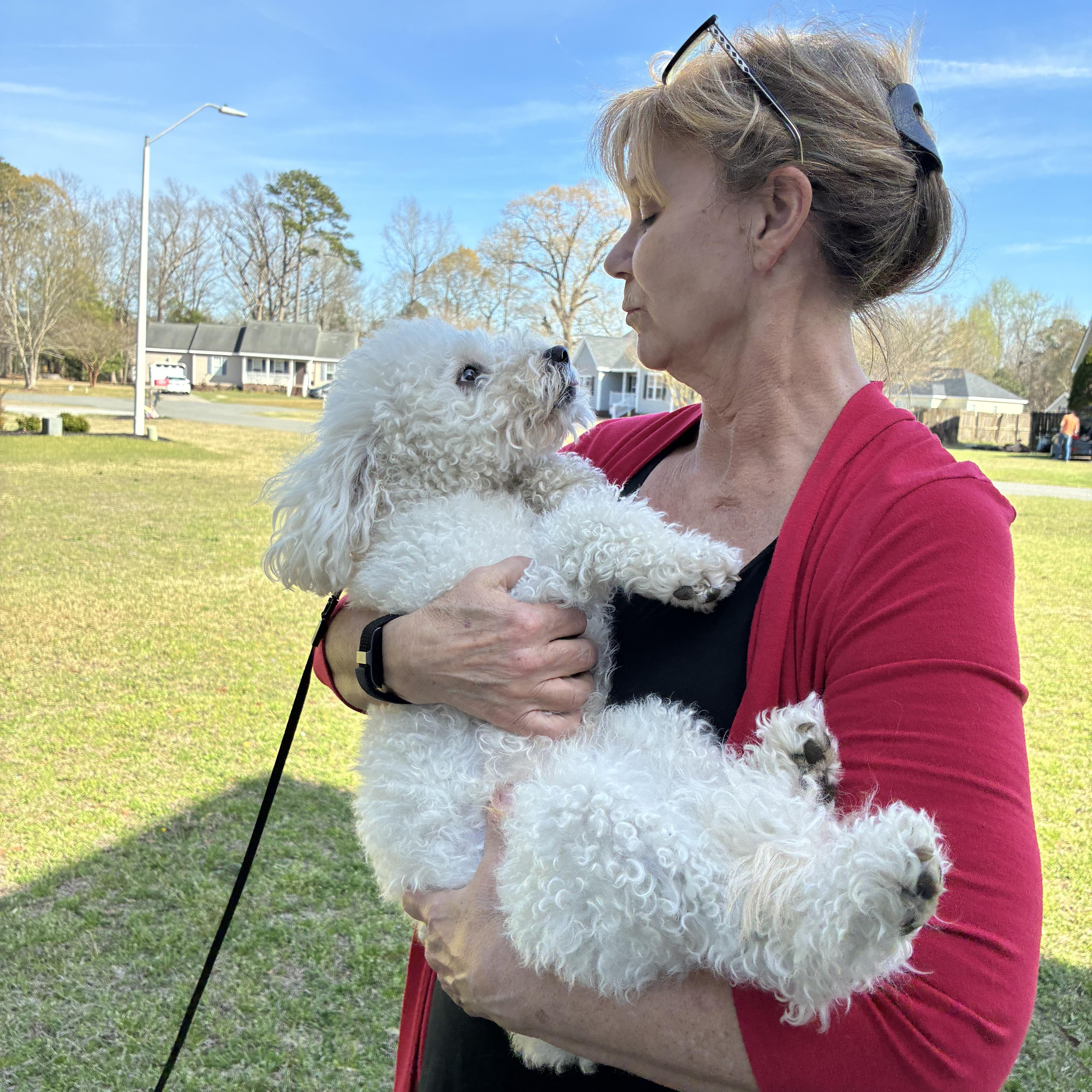 Enlarge Ziggy, a ADOPTABLE mixed breed in Brockport, NY image 6/6