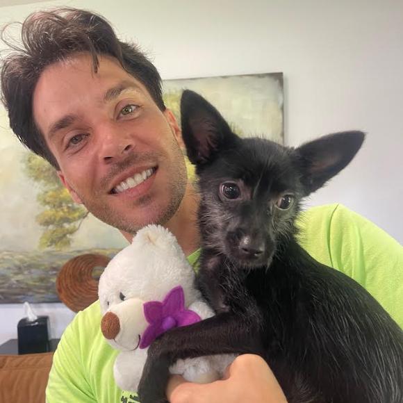 Enlarge PENELOPE, a Adoptable mixed breed in Indiantown, FL image 6/6