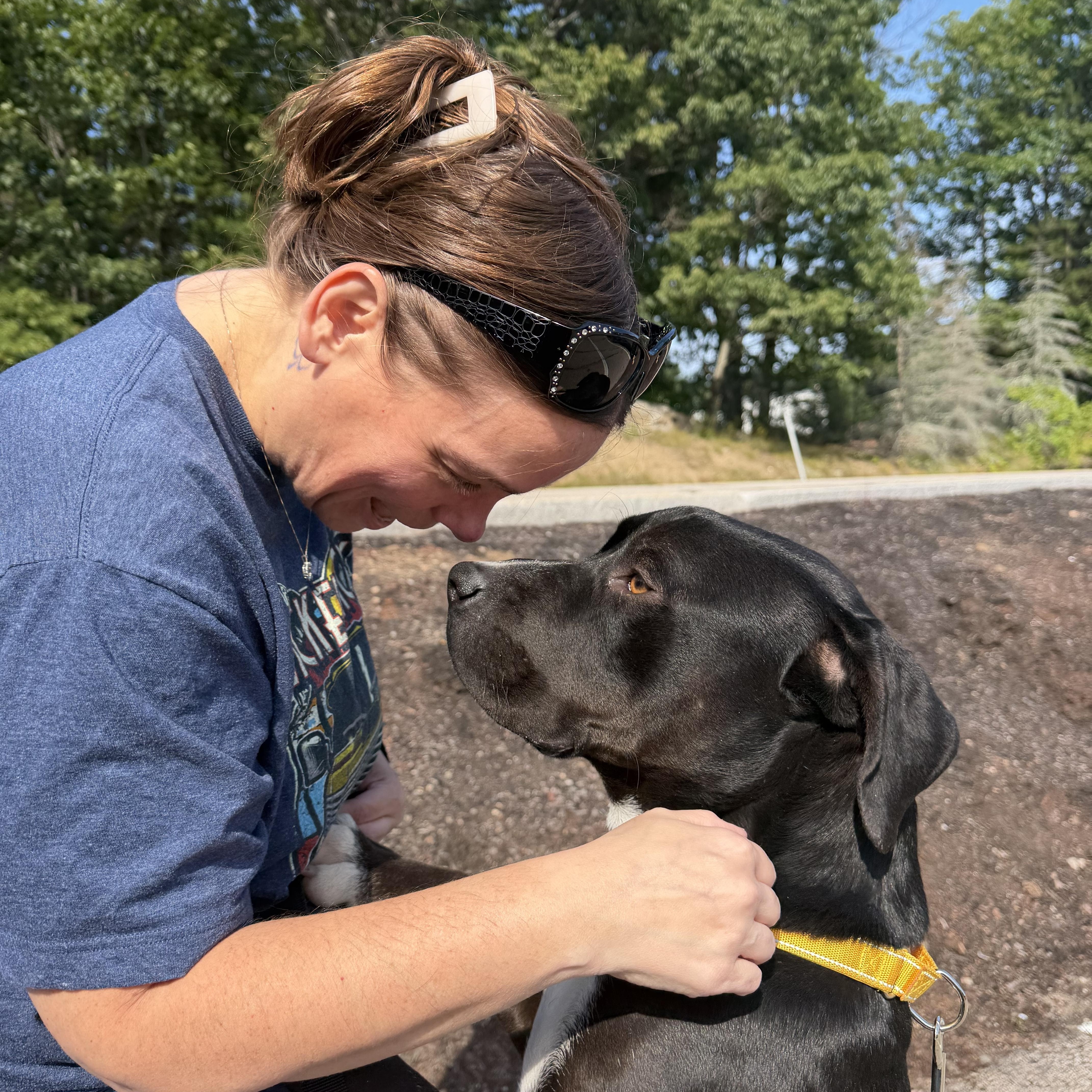 Waffles, a ADOPTABLE mixed breed in Kennebunk , ME image 2/6