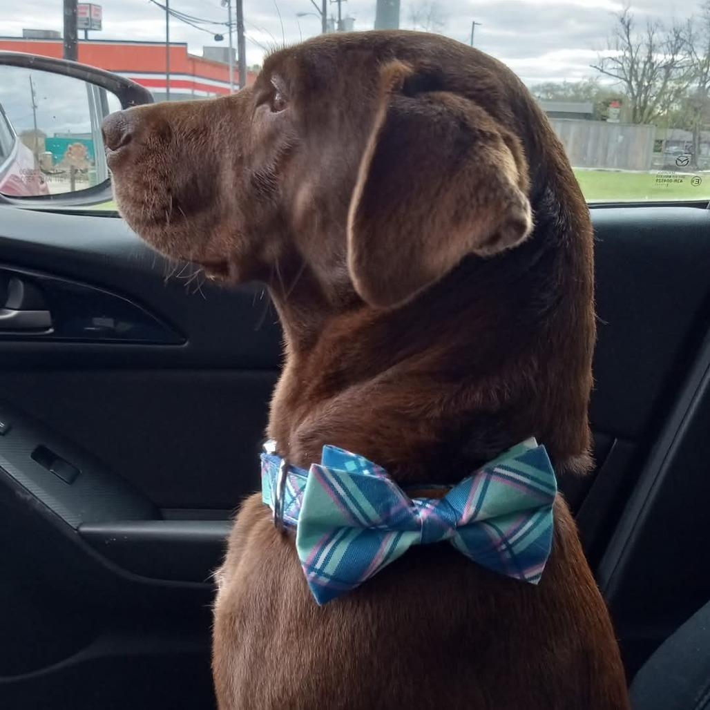 Murphy Brown thumbnail 2