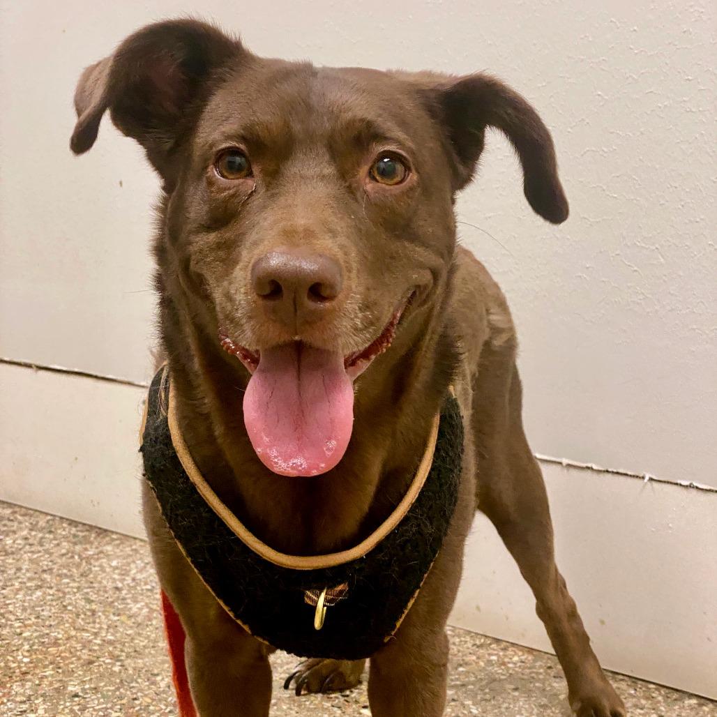 Murphy Brown thumbnail 4